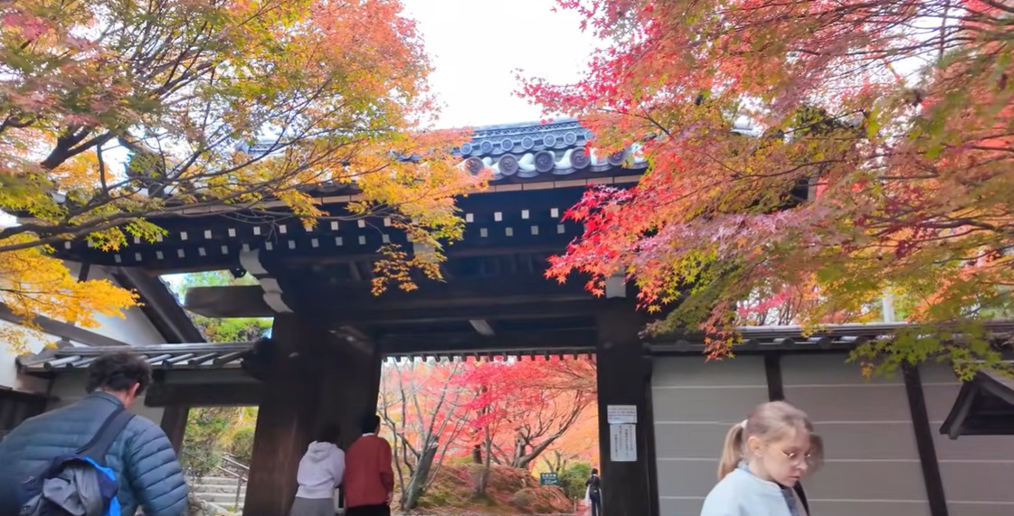 まず目に飛び込むのが落ち着いた佇まいの山門。