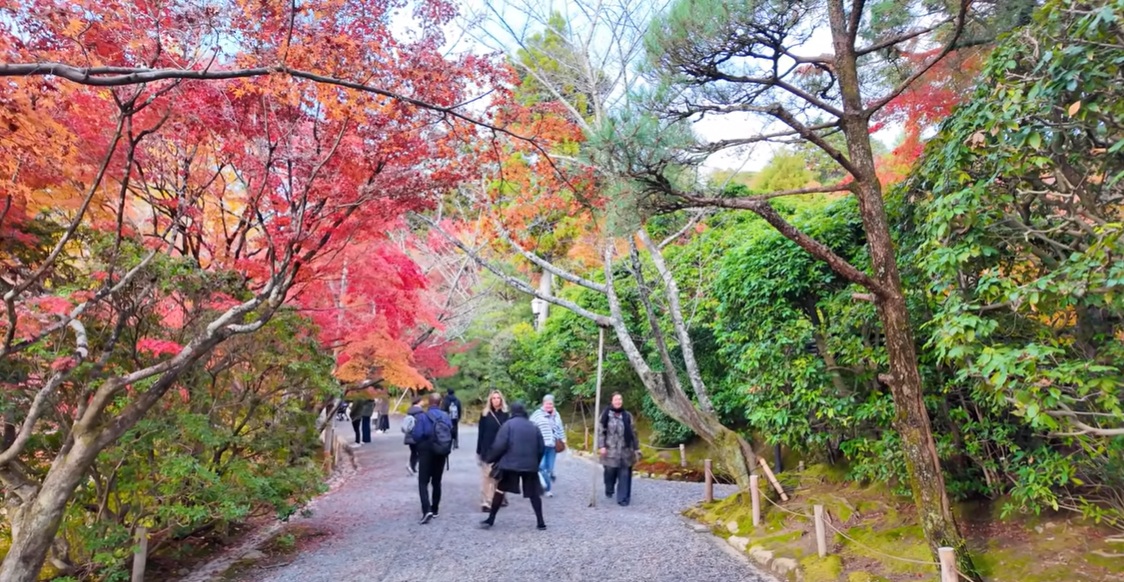 参道沿いには苔庭や季節の花々が美しく手入れされています。