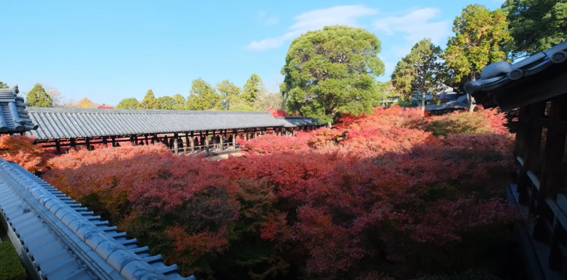 本坊方丈の庭園も見逃せません。