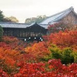 城南宮から、東福寺へのアクセス　おすすめの行き方を紹介します