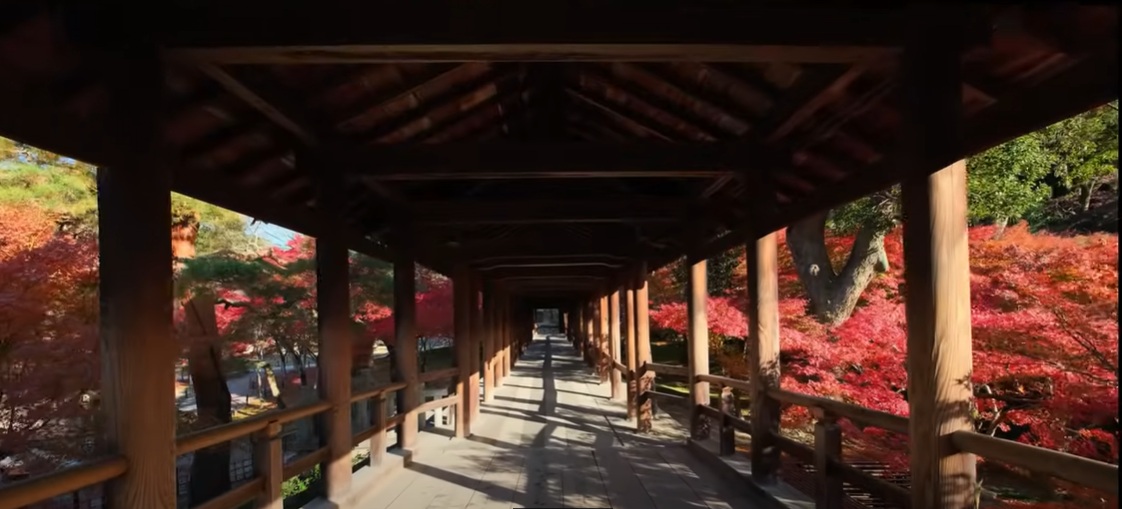 東福寺といえばやはり「通天橋」。渓谷にかかる木造の橋から眺める紅葉は圧巻で、赤や橙に染まった木々がまるで錦の絨毯のように広がります。