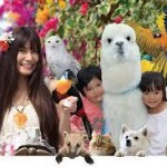 神戸どうぶつ王国や南京町・神戸市立王子動物園の関連記事を紹介します。