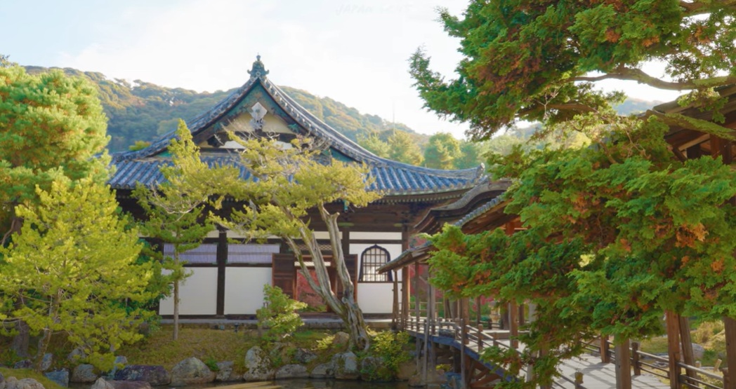 お寺の格式ある雰囲気に包まれ、心が落ち着くのを感じました。