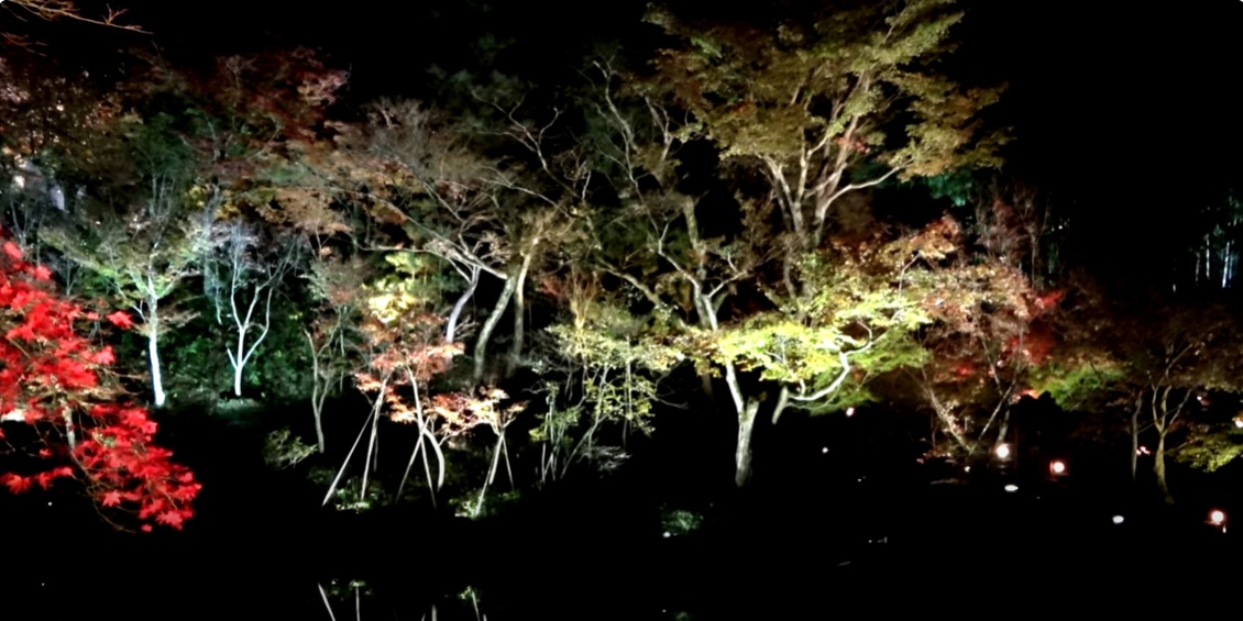 夕方から夜にかけてのライトアップは一度は見ておきたい絶景です。