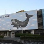 和歌山駅から、くじらの博物館へのアクセス　おすすめの行き方を紹介します