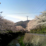 大阪駅から、山中渓の桜やわんぱく公園へのアクセス（行き方）　おすすめの行き方を紹介します。