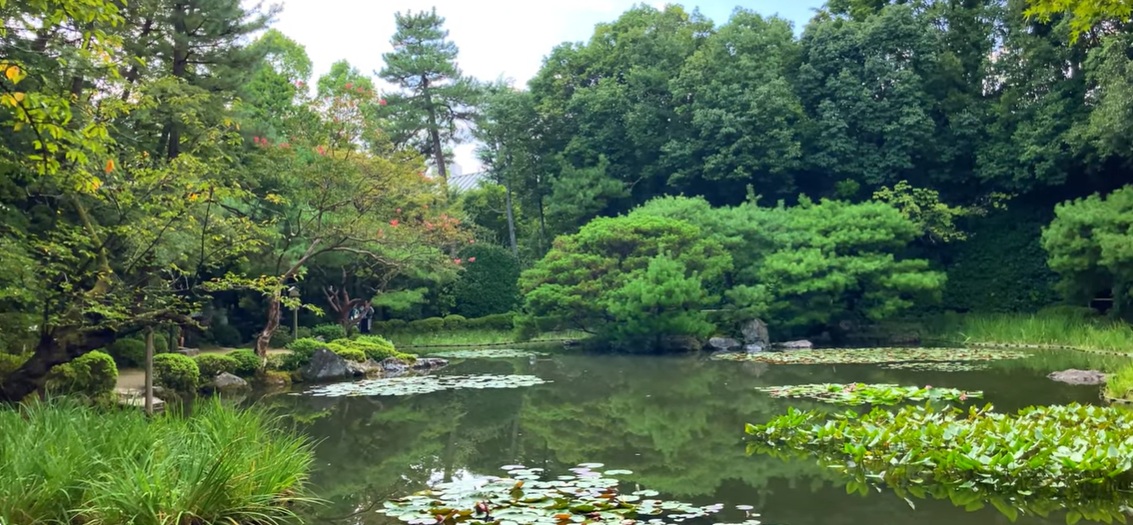 とてもきれいな風景です。この景色が一番好きです。