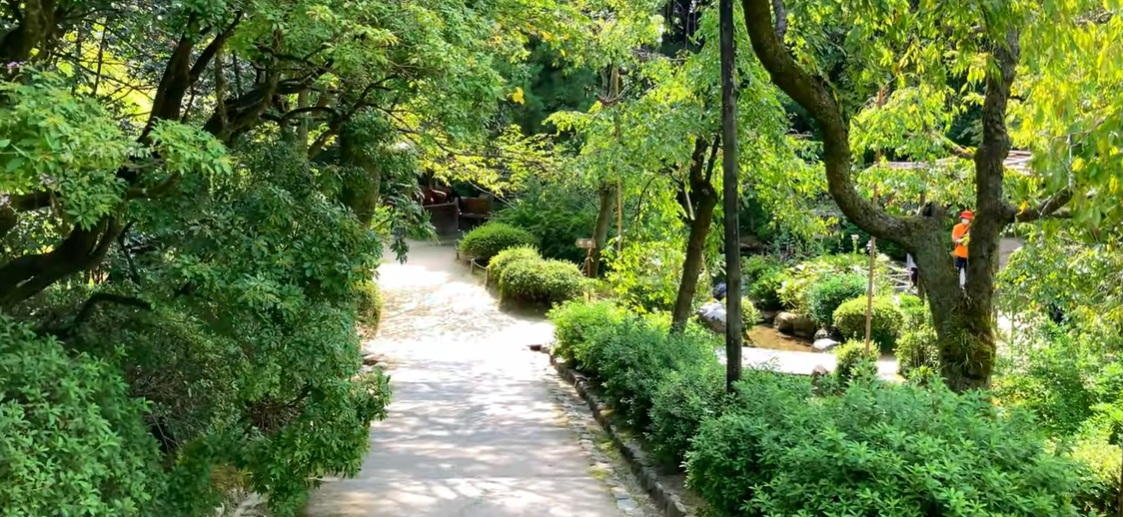 神苑に入ると、京都市内とは思えない雰囲気です。