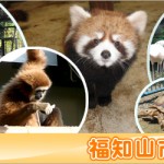 京都駅から、福知山市動物園へのアクセス　おすすめの行き方を紹介します
