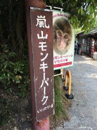 京都駅から 嵐山モンキーパークいわたやまへのアクセス おすすめの行き方を紹介します 関西のお勧めスポットのアクセス方法と楽しみ方関西のお勧めスポットのアクセス方法と楽しみ方