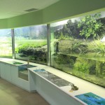 姫路市立水族館に行くなら、できる限り安く！！　割引きクーポンはあるのか？　チケットをお得に手に入れる方法　