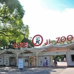 神戸市立王子動物園周辺のホテルや宿（宿泊施設）について　アクセスが便利なおすすめのホテルを紹介します