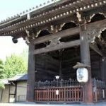 東寺から、東福寺へのアクセス　おすすめの行き方を紹介します