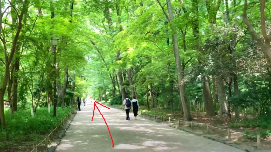 とても心が癒される道です。
