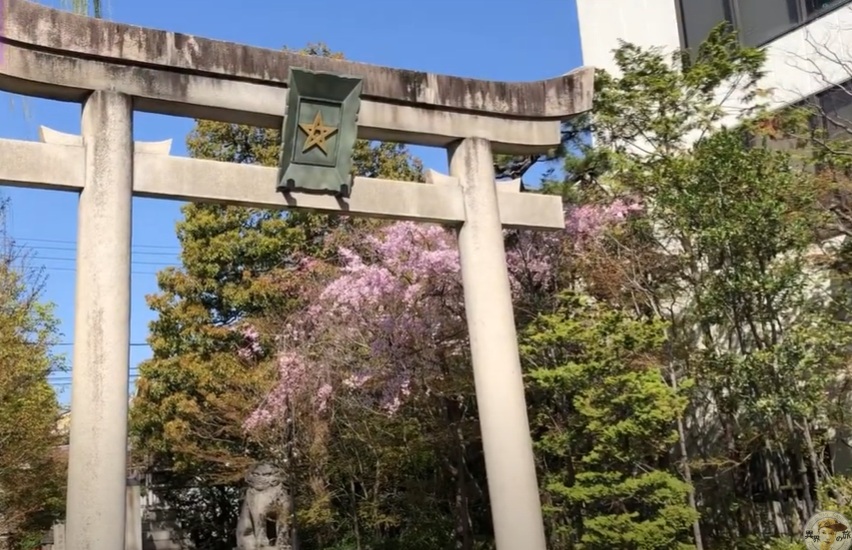 堀川通沿いにある鳥居をくぐった瞬間、街中とは思えない静けさが広がります。