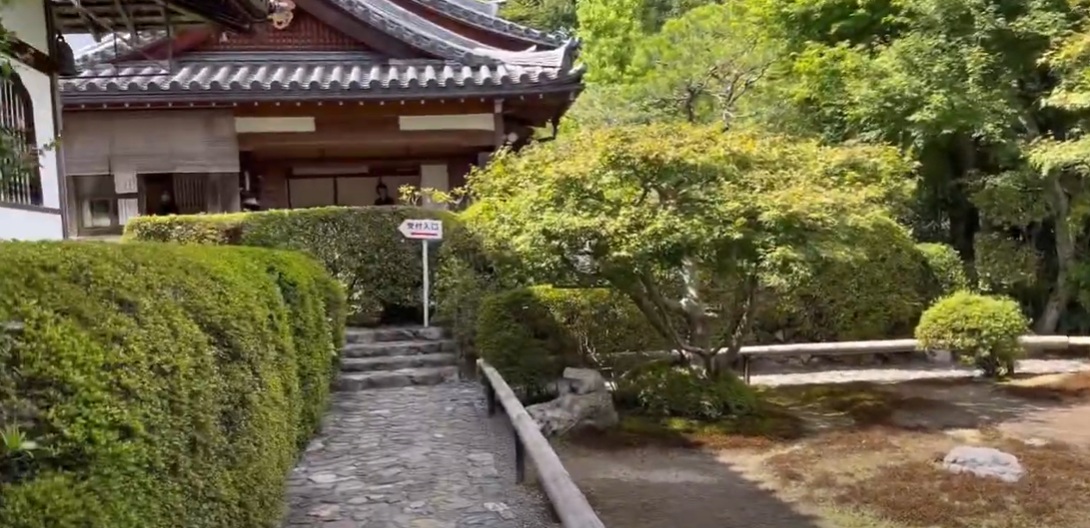 緑に囲まれた参道を進むと、日常の喧騒から離れた穏やかな空気が漂っていました。