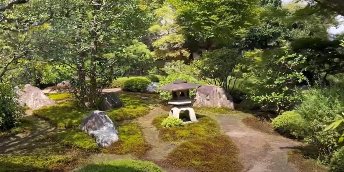 苔のエリアです。
