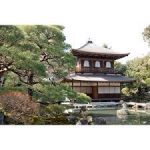 北野天満宮から、銀閣寺へのアクセス　おすすめの行き方を紹介します