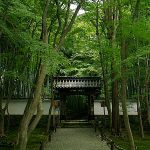 京都駅から、地蔵院へのアクセス　おすすめの行き方を紹介します