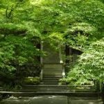 天龍寺から、常寂光寺へのアクセス　おすすめの行き方を紹介します