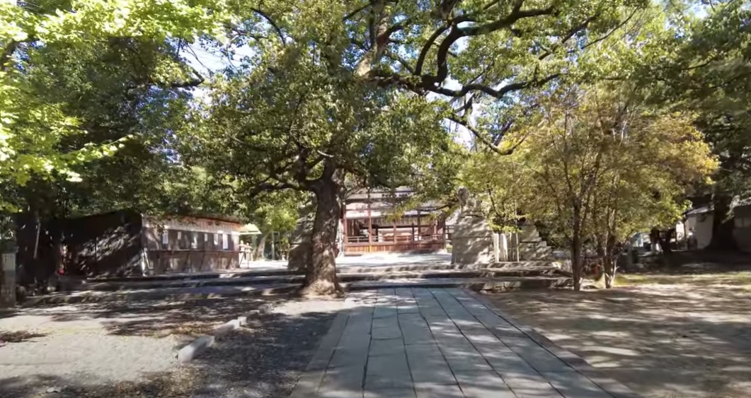 住宅街を抜けると鳥居が現れ、そこから静かな参道が広がります。街の喧騒を離れ、一歩足を踏み入れると厳かな空気に包まれました。