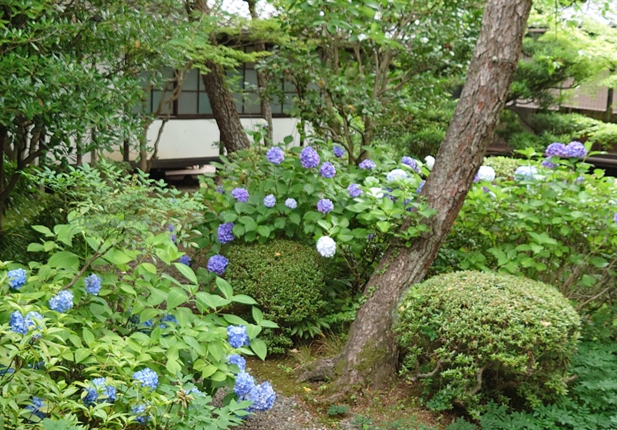 廬山寺