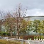 大阪駅から 堂島リバーフォーラムへのアクセス おすすめの行き方を紹介します 関西のお勧めスポットのアクセス方法と楽しみ方関西のお勧めスポットのアクセス方法と楽しみ方