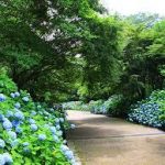 大阪駅から、神戸市立森林植物園へのアクセス　おすすめの行き方を紹介します
