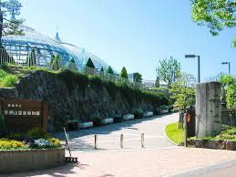 手柄山温室植物園 関西のお勧めスポットのアクセス方法と楽しみ方