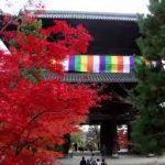 金戒光明寺や吉田神社・永観堂の関連記事を紹介します。