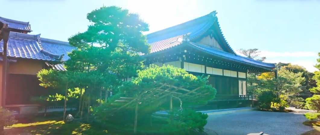 「陸舟の松」と呼ばれる大きな松