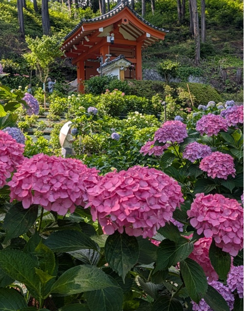 三室戸寺