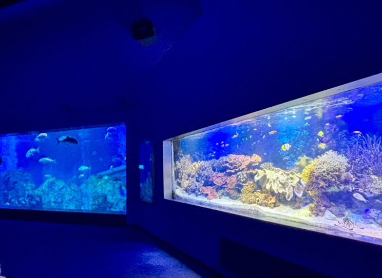 鳥羽水族館