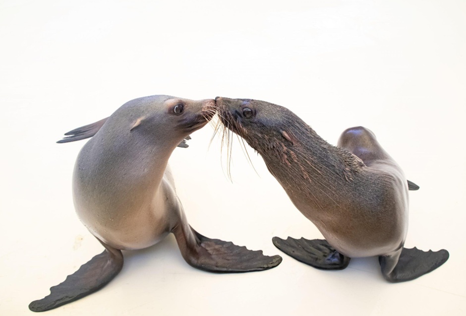 鳥羽水族館