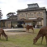 奈良駅から、奈良国立博物館へのアクセス　おすすめの行き方を紹介します