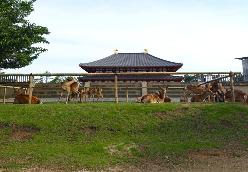 興福寺