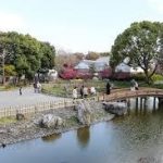 大阪駅から、高槻城跡公園へのアクセス　おすすめの行き方を紹介します