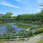 大阪駅から、白鷲公園へのアクセス　おすすめの行き方を紹介します