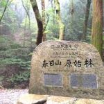 奈良駅から、春日山原始林へのアクセス　おすすめの行き方を紹介します