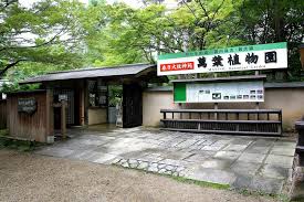 奈良駅から 春日大社万葉植物園へのアクセス おすすめの行き方を紹介します 関西のお勧めスポットのアクセス方法と楽しみ方