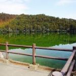 奈良駅から、明神池へのアクセス　おすすめの行き方を紹介します