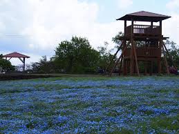 四日市駅から メナード青山リゾートへのアクセス おすすめの行き方を紹介します 関西のお勧めスポットのアクセス方法と楽しみ方