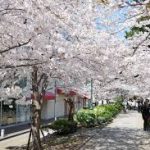 三ノ宮駅から、花のみちへのアクセス　おすすめの行き方を紹介します