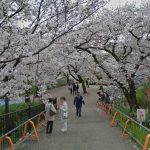 三ノ宮駅から、夙川河川敷緑地へのアクセス　お勧めの行き方を紹介します