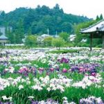 三ノ宮駅から、永沢寺花しょうぶ園へのアクセス　お勧めの行き方を紹介します
