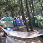 三ノ宮駅から、浜坂県民サンビーチキャンプ場へのアクセス　お勧めの行き方を紹介します