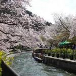 草津駅から、琵琶湖疏水へのアクセス　お勧めの行き方を紹介します
