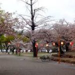 草津駅から、膳所城跡公園へのアクセス　お勧めの行き方を紹介します