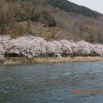 草津駅から、海津大崎の桜へのアクセス　お勧めの行き方を紹介します