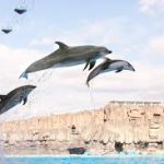 東山動植物園から、名古屋港水族館へのアクセス　お勧めの行き方を紹介します